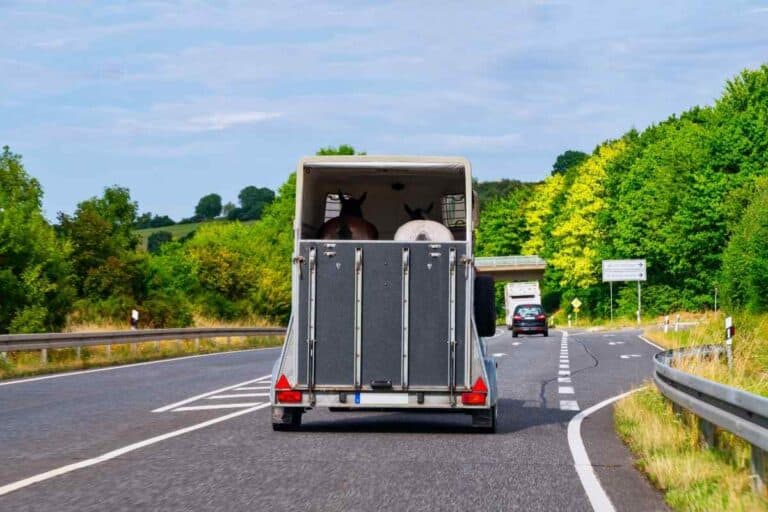 What Are The Best SUVS for Towing Horse Trailers? These Are The Top 18 options for 2024